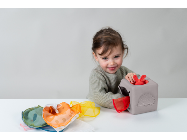 TAF TOYS BOX SO ŠATKAMI 12m