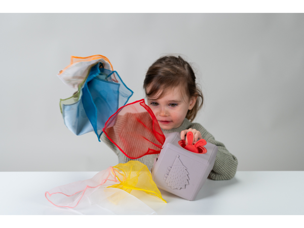 TAF TOYS BOX SO ŠATKAMI 12m
