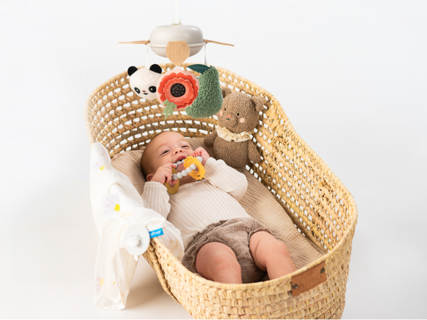 TAF TOYS SADA HRAČIEK NEWBORN LUXE