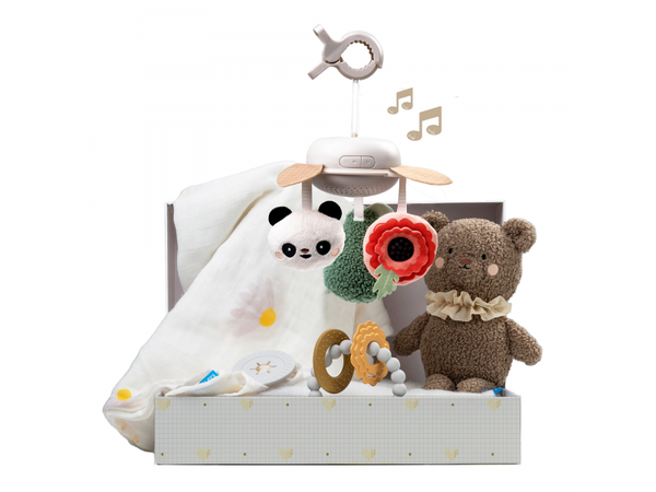 TAF TOYS SADA HRAČIEK NEWBORN LUXE