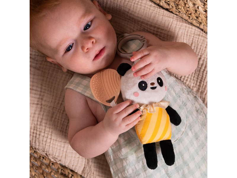 Panda pamela – obrázok 4