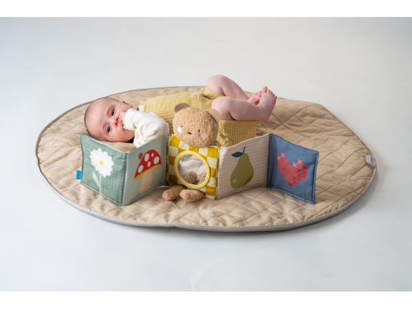 MEDVEDÍK PLYŠOVÝ S KNIŽKOU SNUGGLE BEAR