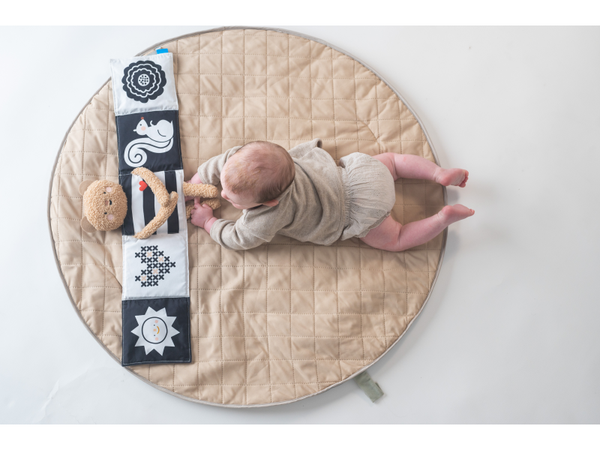 MEDVEDÍK PLYŠOVÝ S KNIŽKOU SNUGGLE BEAR