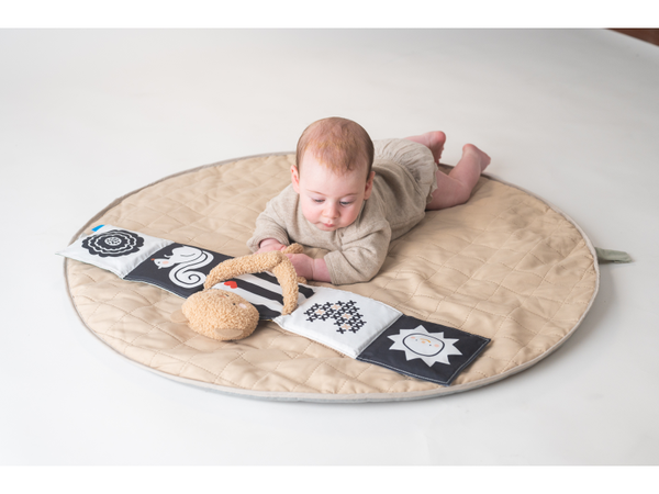 MEDVEDÍK PLYŠOVÝ S KNIŽKOU SNUGGLE BEAR