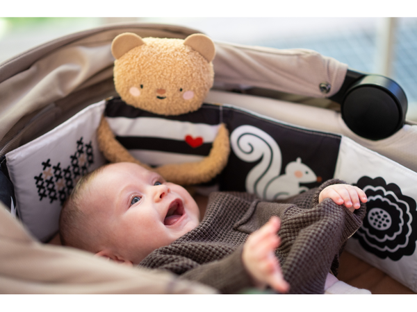 MEDVEDÍK PLYŠOVÝ S KNIŽKOU SNUGGLE BEAR