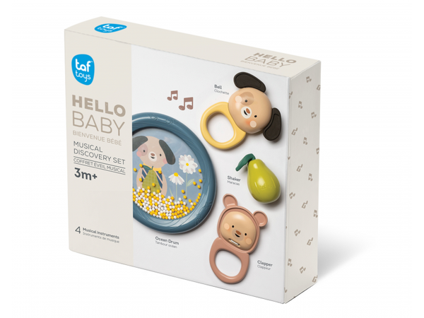 TAF TOYS SADA HUDOBNÝCH HRAČIEK MUSICAL ADVENTURE KIT