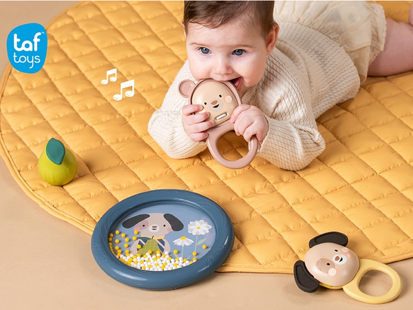 TAF TOYS SADA HUDOBNÝCH HRAČIEK MUSICAL ADVENTURE KIT