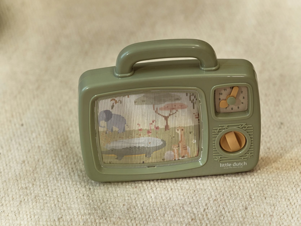 HUDOBNÁ TELEVÍZIA SAFARI FRIENDS
