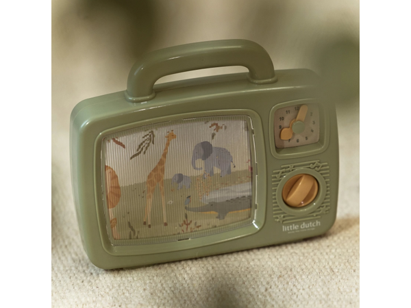 HUDOBNÁ TELEVÍZIA SAFARI FRIENDS