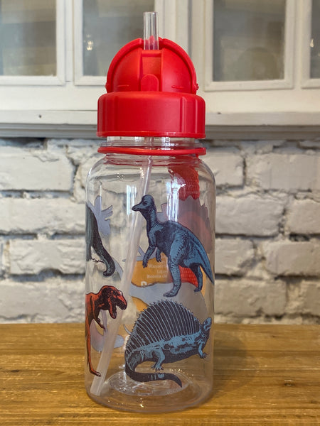FĽAŠKA SO SLAMKOU 500ML DINOSAURI