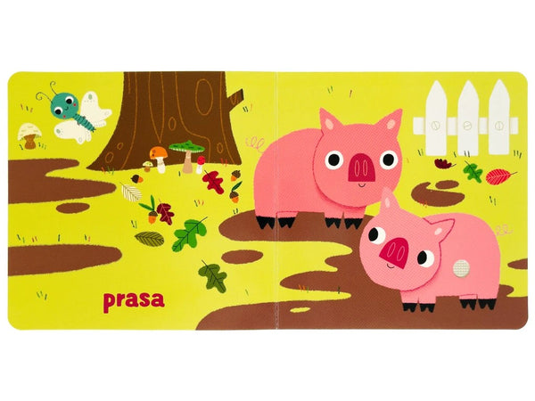 FARMA