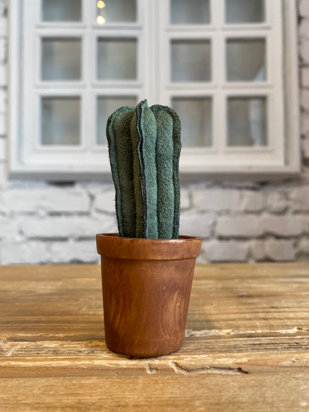 KAKTUS V KVETINÁČI MAILEG