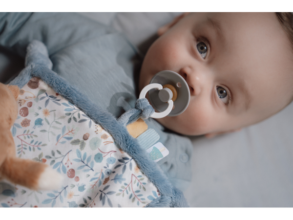 MAZNÁČIK S LÍŠKOU FOREST FRIENDS