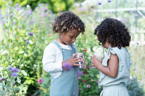 NÁDOBA NA HMYZ FOREST FRIENDS