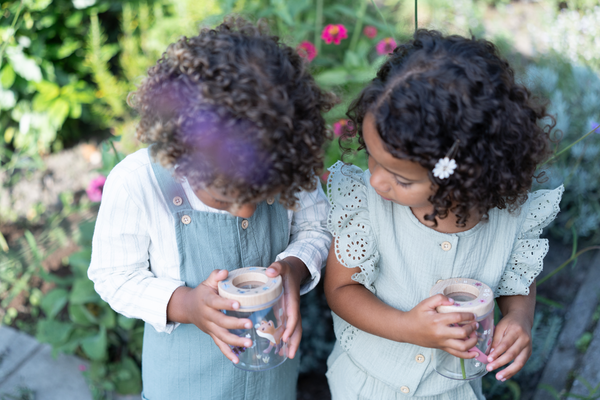 NÁDOBA NA HMYZ FOREST FRIENDS