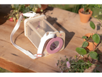 LITTLE DUTCH box na prezeranie hmyzu drevený fairy garden – obrázok 6