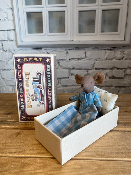 MYŠIAK V KRABIČKE BIG BROTHER