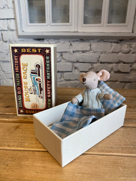 MYŠIAK V KRABIČKE VEĽKÝ BRAČEK