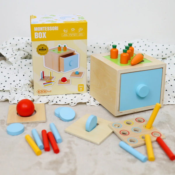 MONTESSORI BOX 4V1