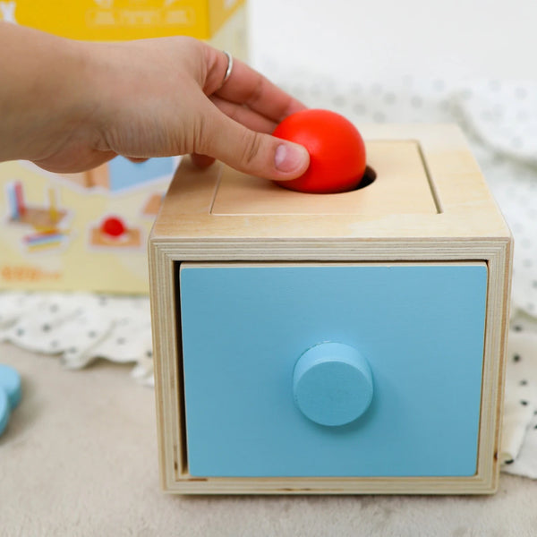 MONTESSORI BOX 4V1
