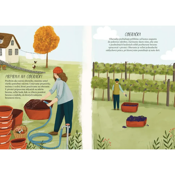 ŽIVVOT VO VINOHRADE