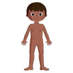 Puzzle ľudské telo – obrázok 4