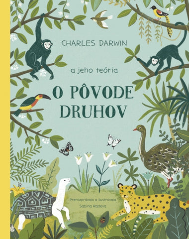 O POVODE DRUHOV 6R